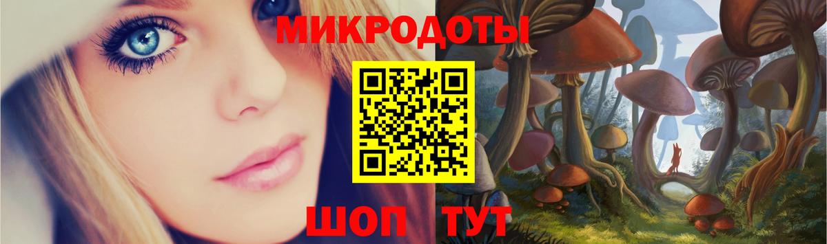 Псилоцибиновые грибы Psilocybine cubensis Губаха